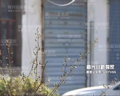 五年流离路，带球跑路的背后与亲爹重逢的纠葛