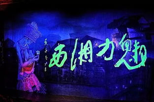 迷人的刺（94集），探寻神秘魅力的深度之旅
