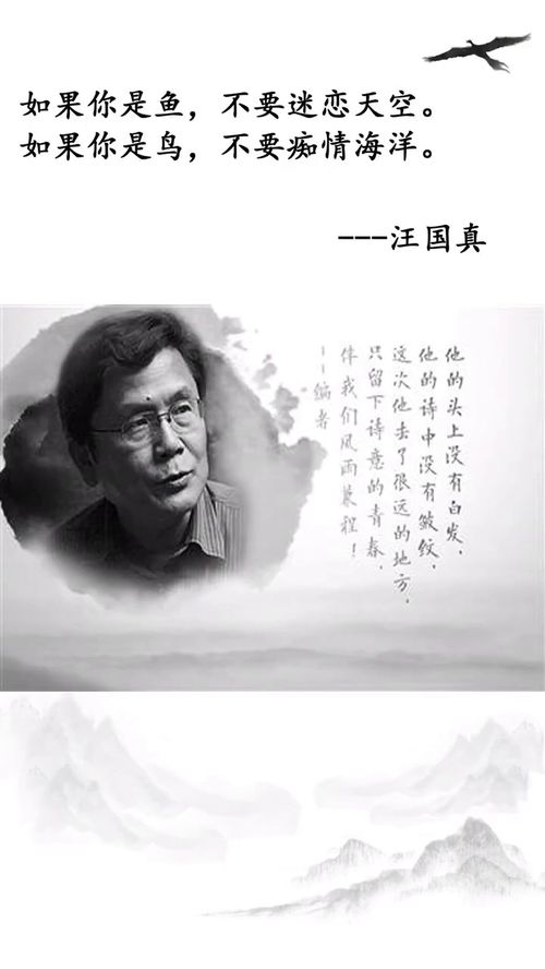 朝来寒雨晚来风（87集），时光流转中的情感纠葛与人生百态