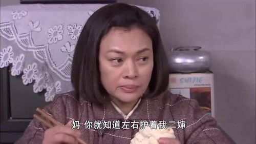 二妈的秘密（77集）