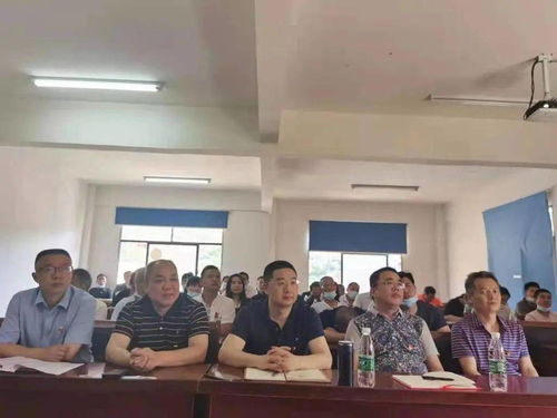 新篇章，罪妻难逃（95集）