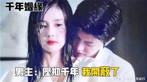 再一次爱你（91集）