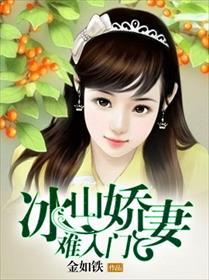 冰山美娇妻（第1集-第109集）深度解析与回顾