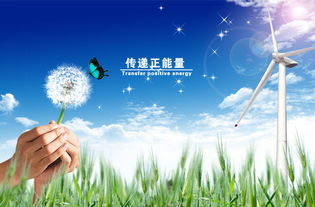 再见陆先生（88集），人生的告别与重逢