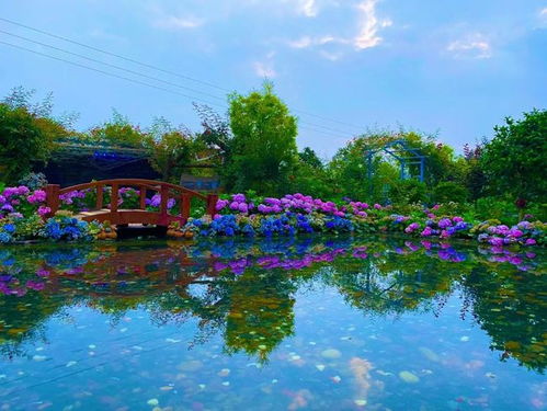 花式解锁好春光，探寻多彩生活与自然之美