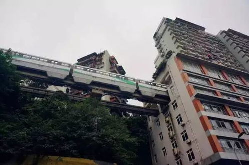 重庆李子坝，成功的魅力吸引外国游客