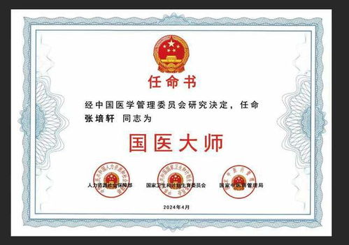 九龙医圣，医术与智慧的融合（99集深度解析）