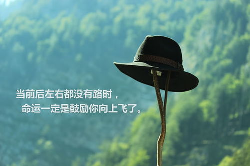 父母的愿望，探寻深沉的亲情与人生的意义（共32集）