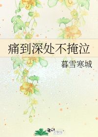 长风散尽终遇你（37集）剧情解析与感悟