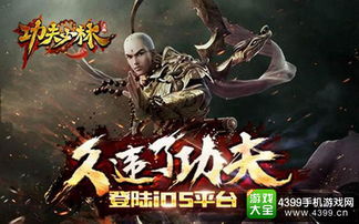 功夫医圣，医术与武学的完美结合