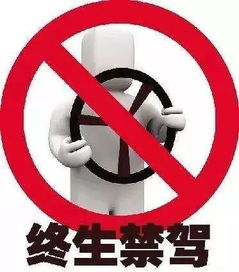 顾先生与闪婚后禁止离婚的日子（共94集）