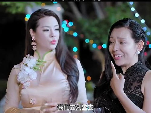 冰山总裁夫人带娃跑（89集）