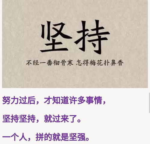 人生一挂，99集深度解读与感悟