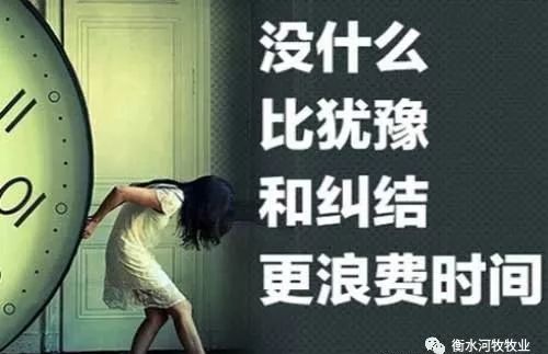 最是人间留不住，鬓从今夜白——王宇峰的生涯与情感