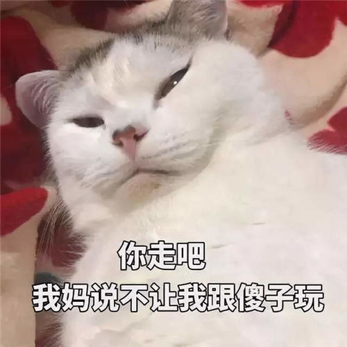 不装了，我的傻子老公是大佬（79集）