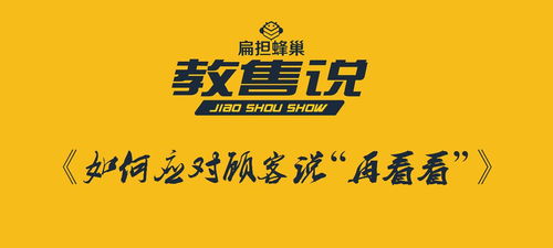 撩欢，一场情感的盛宴（98集深度解析）