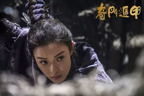 天降至尊龙婿，传奇人生与不凡命运