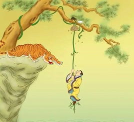 奉旨下山之山下女人是老虎（120集）深度解析
