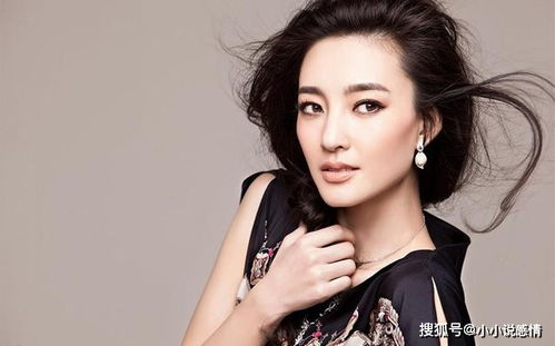 美艳人妻，传统与现代中的理想女性形象