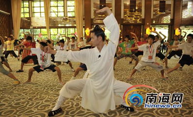 功夫（102集），探寻中华武术的精髓与魅力