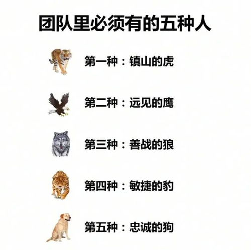 开局即巅峰，舔狗之王，神豪大佬的崛起之路