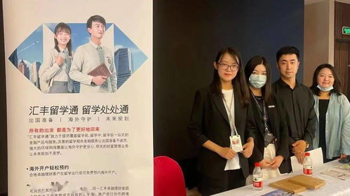 四爷的心尖宠妃，95集精彩回顾与深度解析