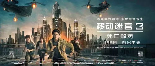 重回02死亡倒计时，命运倒计时中的生死博弈（80集剧情概述）
