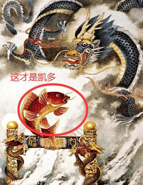 见龙（78集），探寻龙的精神与力量