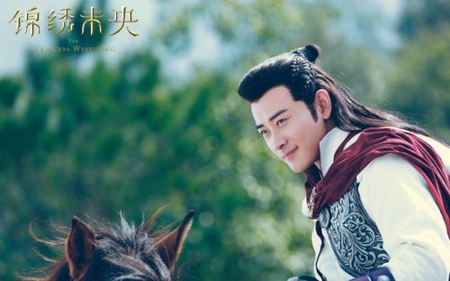 情深浅浅俩依依（102集）——情感的交织与演绎