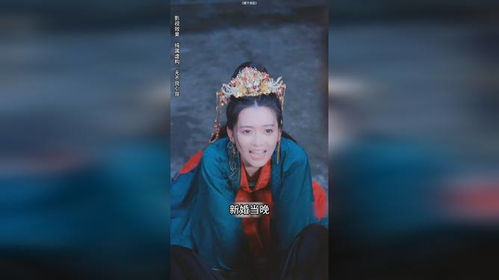 裙下宠臣（100集）