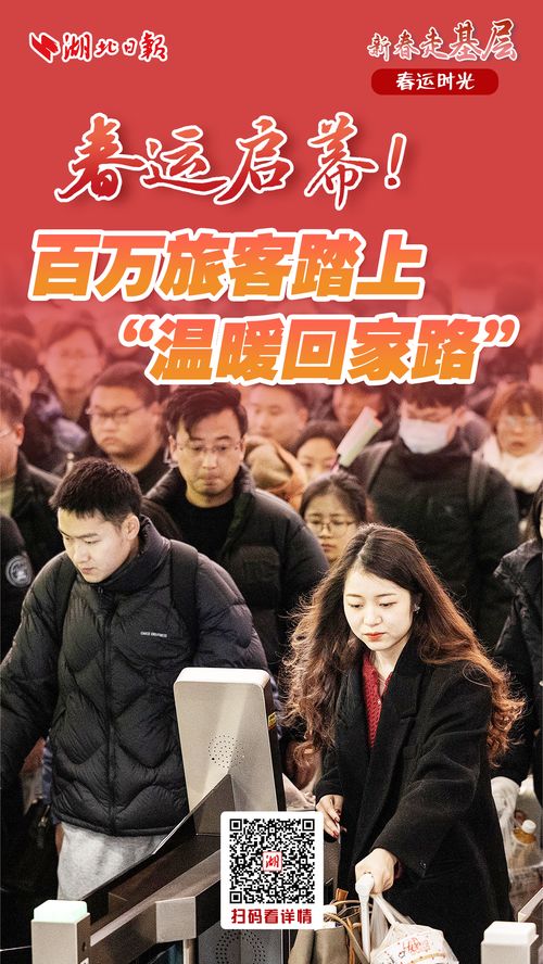 让爱回家（61集），归途中的温情与力量