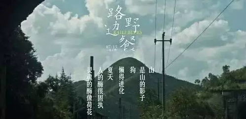被弄丢的你（86集），寻找与自我救赎的旅程