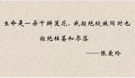缘来是你（98集），命运交织的旋律与情感的碰撞