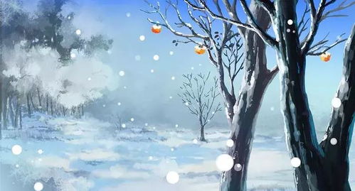 不能说的秘密，云摇花雨中的风花雪月