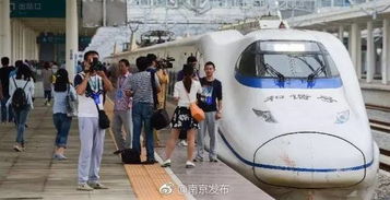 洛阳海碧双叒引外地游客争相带上高铁