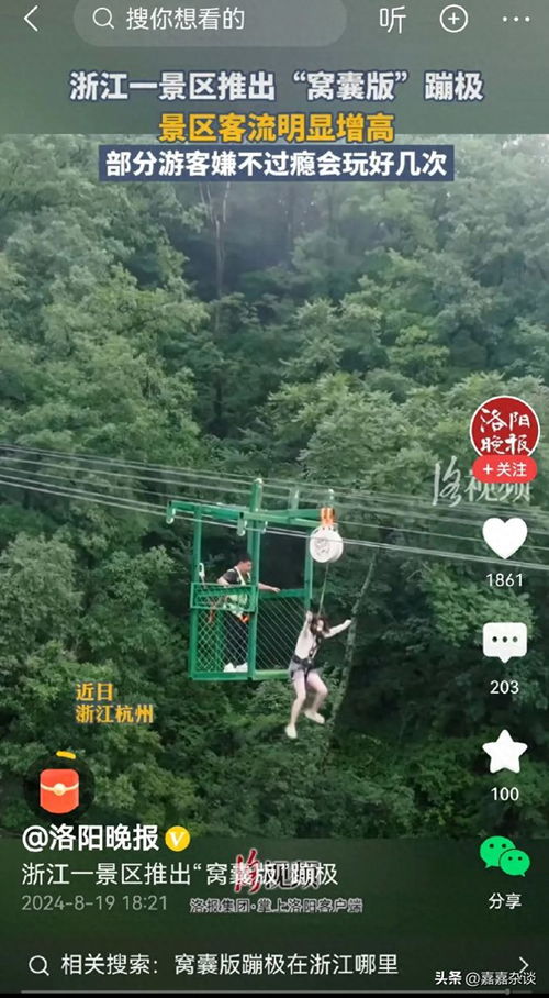 景区推出窝囊版蹦极爆火，勇敢与娱乐的新融合