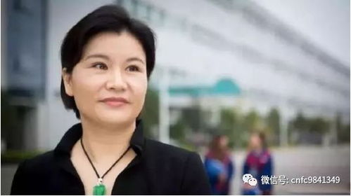 一夜首富（77集），揭秘财富的神秘崛起与背后的故事