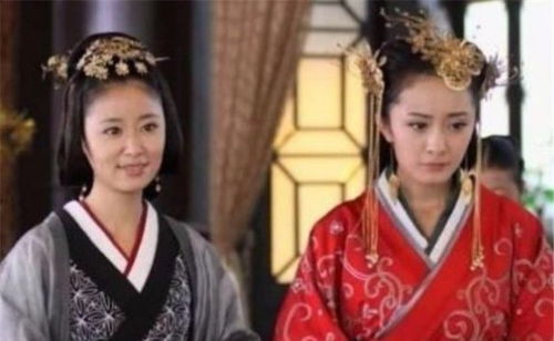 小丫鬟升职记（电视剧版），逆袭之路，荣耀与梦想（1-100集深度解析）