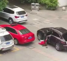 保时捷肇事不救人先换车牌，警方通报引发社会关注