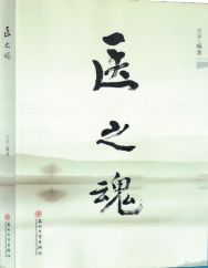 乘龙医婿，深度解析一部融合医术与情感的60集佳作