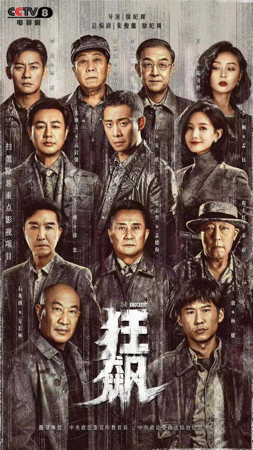我本狂婿，傲骨狂情与剑走偏锋的人生旅程