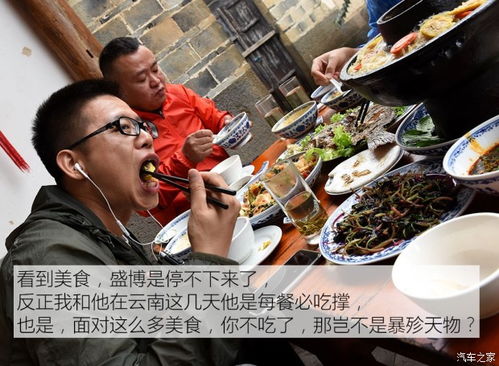 外卖皇帝，美食背后的故事与人性探索（第1集至第100集深度解析）