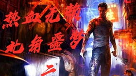 武驰人生（76集），张婉琳的热血征途