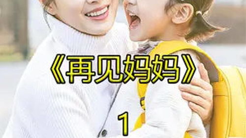 妈妈，再见（28集）