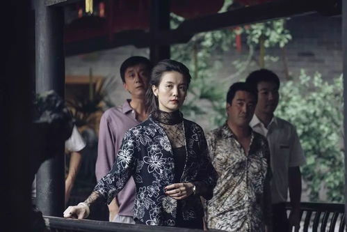 幕总的隐婚罪妻，都市情感中的秘密与纠葛（10集剧情解析）