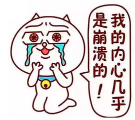 妈，我回来了（55集）
