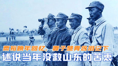 北国营救之前妻悔不当初（90集）剧情深度解析