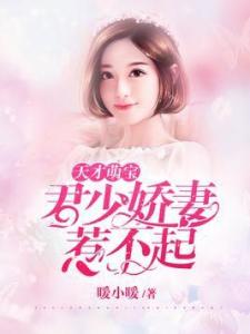 天才萌宝傲娇妻的独特魅力