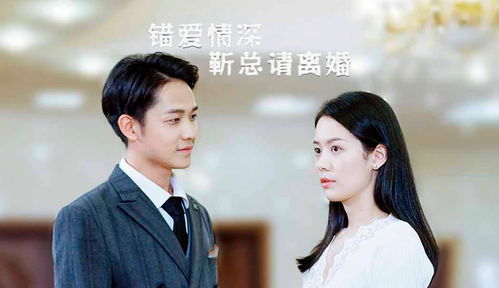 错爱情深，靳总的离婚困境（电视剧靳总请离婚剧情解析）