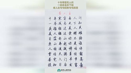 十年寒窗无人问，深度解读（73集）